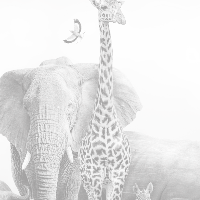 Event - DevOps2020, l'événement à suivre pour les professionnels de l'IT cover